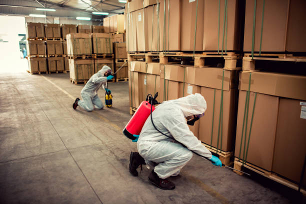 Best Wildlife Control Services  in Blackwell, OK