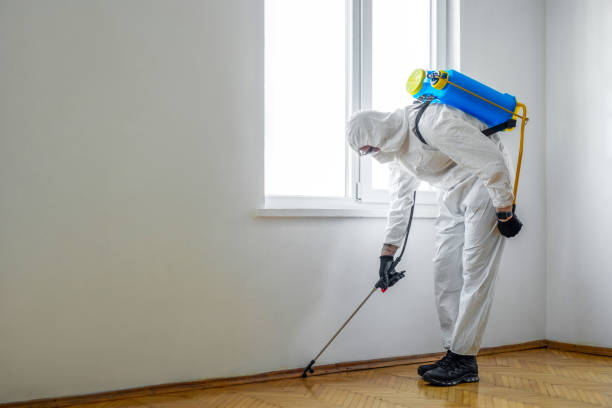 Best Best Pest Control Companies  in Blackwell, OK
