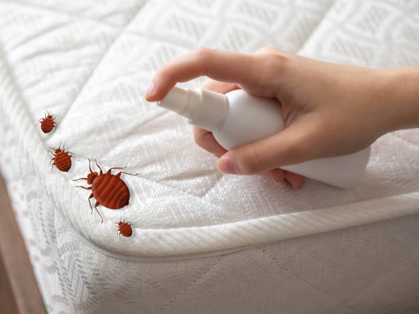 Best Pest Control for Businesses  in Blackwell, OK