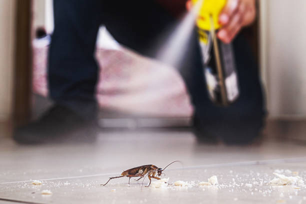 Best Residential Pest Control  in Blackwell, OK