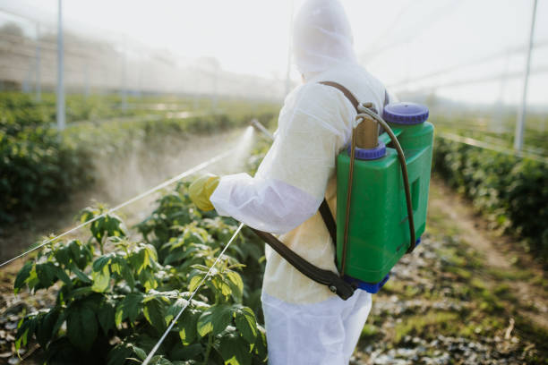 Best Commercial Pest Control Services  in Blackwell, OK